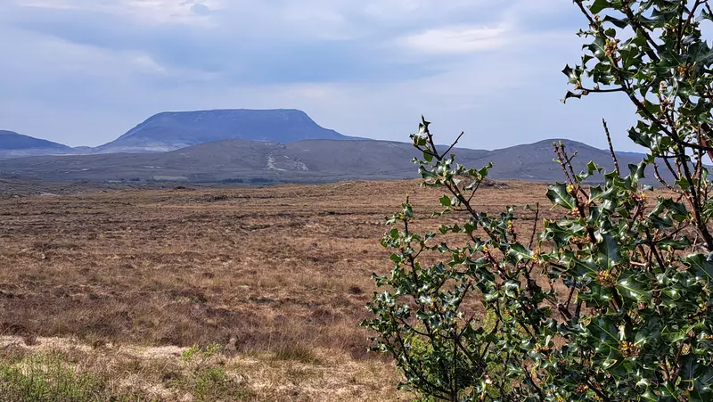 Flat topped mountain with bogland in the foreground.